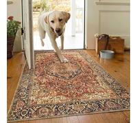 AMEHA Door Mat Indoor 80 x 150 cm Vintage Entrance Floor Mats Non Slip Washable Doormats Outside Dirt Trapper Heavy Duty Doormat Low Profile Super Soft Front Door Mat (Majestic)