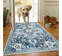 AMEHA Door Mat Indoor 80 x 150 cm Vintage Entrance Floor Mats Non Slip Washable Doormats Outside Dirt Trapper Heavy Duty Doormat Low Profile Super Soft Front Door Mat (Tranquil)