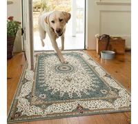 AMEHA Door Mat Indoor 80 x 150 cm Vintage Entrance Floor Mats Non Slip Washable Doormats Outside Dirt Trapper Heavy Duty Doormat Low Profile Super Soft Front Door Mat (Willow)