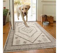 AMEHA Door Mat Indoor 80 x 150 cm Vintage Entrance Floor Mats Non Slip Washable Doormats Outside Dirt Trapper Heavy Duty Doormat Low Profile Super Soft Front Door Mat (Radiant)