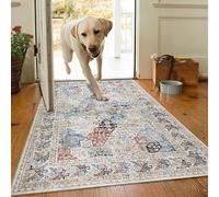 AMEHA Door Mat Indoor 80 x 150 cm Vintage Entrance Floor Mats Non Slip Washable Doormats Outside Dirt Trapper Heavy Duty Doormat Low Profile Super Soft Front Door Mat (Coastal)