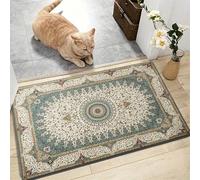 AMEHA Door Mats Outdoor Indoor 40 x 60 cm, Heavy Duty Door Matts Indoor, High Absorbent Non Slip Floor Mat Welcome Entrance Doormats Machine Washable Low Profile Doormat (Willow)