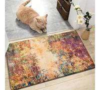AMEHA Door Mats Outdoor Indoor 40 x 60 cm, Heavy Duty Door Matts Indoor, High Absorbent Non Slip Floor Mat Welcome Entrance Doormats Machine Washable Low Profile Doormat (Vibrant)