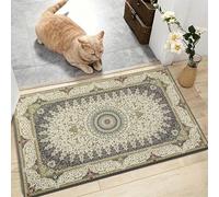 AMEHA Door Mats Outdoor Indoor 40 x 60 cm, Heavy Duty Door Matts Indoor, High Absorbent Non Slip Floor Mat Welcome Entrance Doormats Machine Washable Low Profile Doormat (Willow Grey)