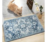 AMEHA Door Mats Outdoor Indoor 40 x 60 cm, Heavy Duty Door Matts Indoor, High Absorbent Non Slip Floor Mat Welcome Entrance Doormats Machine Washable Low Profile Doormat (Tranquil)