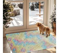 Ameha Fluffy Shaggy Area Rugs Non Slip Modern Super Soft Thick Pile Plush Door Mat Non Shedding Rug (Rainbow, 60X110 Cm)