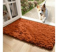 Ameha Fluffy Shaggy Rust Area Rugs Non-Slip Living Room Bedroom Modern Super Soft Thick Pile Plush Carpet, 60 X 110 Cm