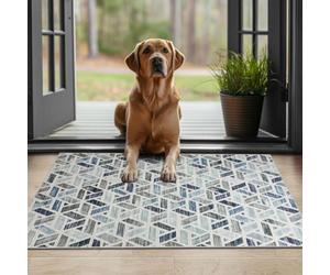 Ameha Non Slip Printed Rug Indoor/outdoor Floor Mat Zara Pattern 40X60 Cm Geometric Door Floor Mats