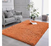 AMEHA Rugs Living Room 120 x 170 cm - Fluffy Shaggy Rust Area Rugs for Bedroom - Modern Super Soft Plush Carpet Non-Slip Non Shedding Easy To Clean Rug