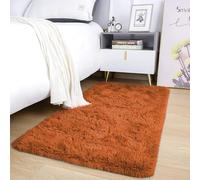 AMEHA Small Rust Shaggy Rug 50x80 cm Fluffy Soft Non Slip Bedroom Accent Carpet Terracotta Non-Shedding