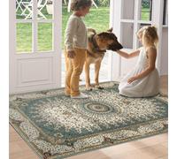 Ameha Willow Teal Cashmere Rug Luxury Bedroom Bedside Mat Kitchen Large Floor Mats- 60X110 Cm