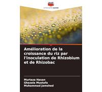 Amélioration de la croissance du riz par l'inoculation de Rhizobium et de Rhizobac