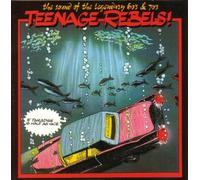 Amen Corner, Melanie, Kinks, Searchers, Small Faces, Lovin' Spoonful.. by Teenage Rebels-If Paradise is half as nice (60's & 70's)
