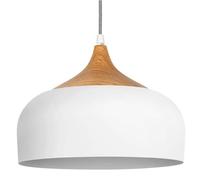 Amen Industrial Style E27 Screw Single-Head Creative and Personalized Metal Restaurant Office Kitchen Island Decorative Lighting fixtures