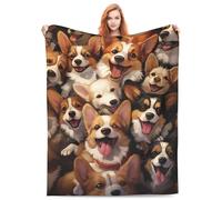 amepay Cute Corgis Blanket Gifts for Corgi Lovers Grils Boys Puppy Corgi Dog Flannel Throw Blankets Soft Fuzzy Lightweight for Home Decor Couch Bed Sofa 50x40 Inches