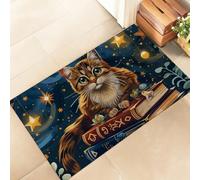 amepay Enchanted Cat and Book Indoor Door Mat - Stylish 17x29.5in Non-Woven Fabric Floor Doormat with Magical Books Design, Stars Doormats,for Porch Insider,Bedroom,Living Room - Decor Rug Gifts