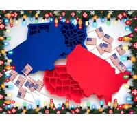 Amer-Ice Silicone Ice Cube Tray 2-Pack | USA Ice Cube Tray with State Ice Cube Molds | Ice Molds Fun Shapes - Fun Ice Cube Trays With Lids-Shaped Like American States - 9in x 6in x 0.75in