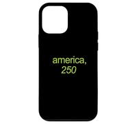 America 250, Funny Green Kamala Style Lettering Case for iPhone 12 mini