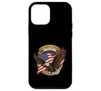 America 250th Anniversary Patriotic American Flag 1776-2026 Case for iPhone 12 mini