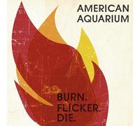 American Aquarium - Burn Flicker Die [VINYL]