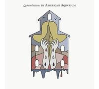 AMERICAN AQUARIUM - Lamentations (Dusty Denim Vinyl) [VINYL]