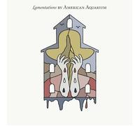 American Aquarium Lamentations (Vinyl) (US IMPORT)