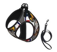 American Bald Eagle print Dog Harness and Leash Set, Reflective Adjustable Puppy Vest for Small Medium Large Dogs, Cats