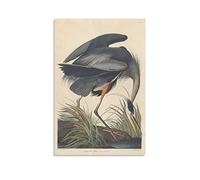 American Bird Artists John James Audubon Great Blue Heron Poster Wall Art Poster Prints Home Decor Picture Canvas Painting Posters 20x30inch(50x75cm)
