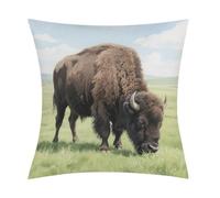 American Bison Pillow Cover,Elegant Design,Throw Pillow,Soft Breathable and Comfortable,Pillow Case for Sofa Bed Living Room Home Decor 18x18 in
