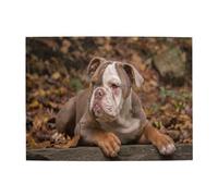 American Bulldog Puppy,500 Pieces Puzzles for Adults-Wooden Jigsaw Puzzle for Adults Elderly