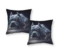 American Bully Cloud Art 2 Pillow Cases Machine Washable Kids Pillow Cases with Envelope Closure 12"x12"