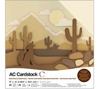 American Crafts 376986 Variety Cardstock, Multi-Colour, 12 x 12-Inch, Pack of 60