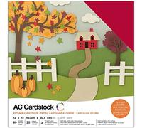 American Crafts 376987 Variety Cardstock, Multi-Colour, 12 x 12-Inch, Pack of 60