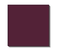 American Crafts Bazzill Basics Paper American Crafts Bazzill Cdstk 12x12 Mono Velvet, Paper, 12" by 12"