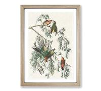 American Crossbill Birds by John James Audubon Framed Print | A2 Oak Framed Wall Art | Ready to Hang | Modern Nature Picture | Living Room Bedroom Lounge Office