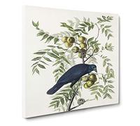American Crow Bird by John James Audubon Vintage Canvas Wall Art Print Ready to Hang, Framed Picture for Living Room Bedroom Home Office Décor, 20x20 Inch (50x50 cm)