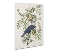 American Crow By John James Audubon Canvas Print | Gallery Wrapped 30mm Frame Wall Art | 24x16 inches | Ready to Hang | Retro Picture | Living Room Bedroom Lounge Office