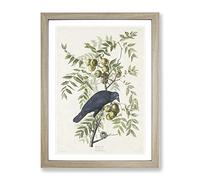 American Crow By John James Audubon Vintage Framed Wall Art Print, Ready to Hang Picture for Living Room Bedroom Home Office Décor, Oak A2 (64 x 46 cm)