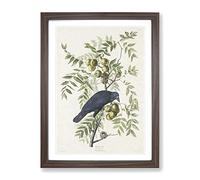 American Crow By John James Audubon Vintage Framed Wall Art Print, Ready to Hang Picture for Living Room Bedroom Home Office Décor, Walnut A4 (34 x 25 cm)