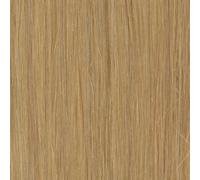 American Dream 100 Percent Human Hair Weft, Inch-12/100 g, 22/25 Beige/Beach Blonde