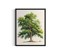 American Elm Tree Poster Wall Art Painting, Nature Print Artwork, Vintage Art for Bedroom Bathroom Living Room Decor 76 (American Elm, 8 x 10 inches, Unframed)