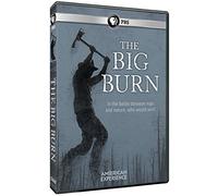 American Experience: The Big Burn [DVD] [Region 1] [US Import] [NTSC]