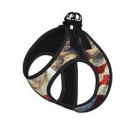 American Flag Eagle Fireworks Print Adjustable Harness Leash Set For Cats And Dogs, Soft Breathable Kitten Puppy Mesh Vest With Reflective Design, Escape-Proof Lead For Small Pets Walking Training