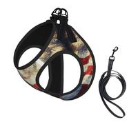 American Flag Fire Eagle Print Dog Harness Small Sized And Leash Set, Step In Soft Light Puppy Vest Breathable Mesh Pet Harness