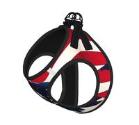 American Flag Fly Eagle Print Dog Harness Reflective Pet Vest Harness Puppy Harnesses Leash Set,For Walking Training