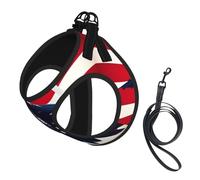 American Flag Fly Eagle Print Dog Harness Reflective Pet Vest Harness Puppy Harnesses Leash Set,For Walking Training
