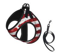 American Flag Independence Fourth of July print Dog Harness, 2X Buckle,Dog Vest,No Pulling Front Leash Clip,for Small Medium Dogs
