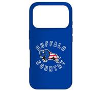 American Flag Inside A Buffalo Bison Silhouette Buffalo NY Case for iPhone 17 Pro