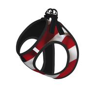 American Flag Print Adjustable Harness Leash Set For Cats And Dogs, Soft Breathable Kitten Puppy Mesh Vest With Reflective Design, Escape-Proof Lead For Small Pets Walking Training