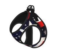 American Flag Stars Stripes Print Dog Harness and Leash Set,Breathable Adjustable Escape Proof Vest for Dogs, Cats